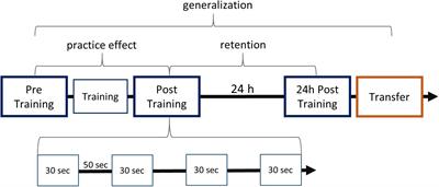 Finger Sequence Learning in Adults Who Stutter